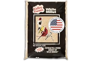 Valley Farms White Millet Wild Bird Seed (5LB) for Outside feeders, White proso Millet, Bird Watcher Secret Wild Bird Food to Attract Colorful Painted Buntings in Southern USA