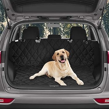 cargo car seat 3 in 1