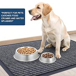 OLANLY Front Door Mat Indoor Outdoor
