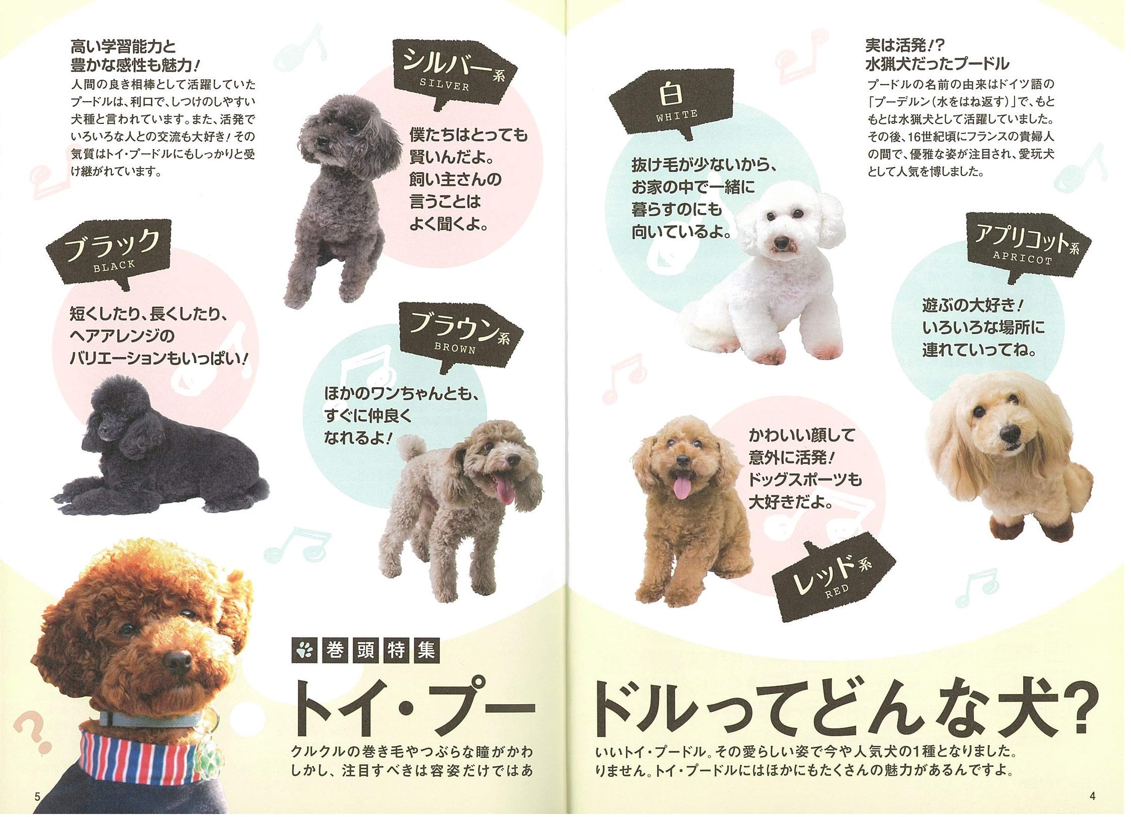 トイプードルの赤ちゃん 元気 幸せに育てる365日 コツがわかる本 徹 高橋 本 通販 Amazon