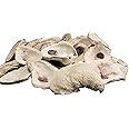 The Shell Connection | Oyster Shells | 5-6 | 24 Pieces | Large Oyster Shells, 5 - 6