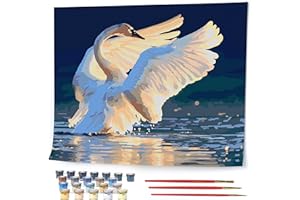 Opalberry Paint by Numbers for Adults - Number Painting Kit with Rolled Canvas - DIY Painting by Numbers - 16x20in Acrylic DIY Painting: Shane Lamb's Sunset Symphony
