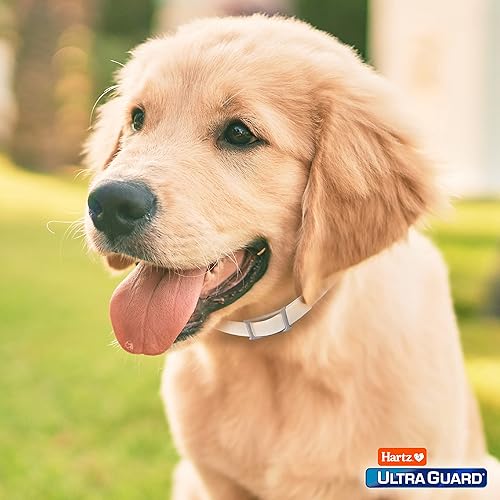 Hartz UltraGuard Flea Tick Collar for Dogs and Puppies, Month