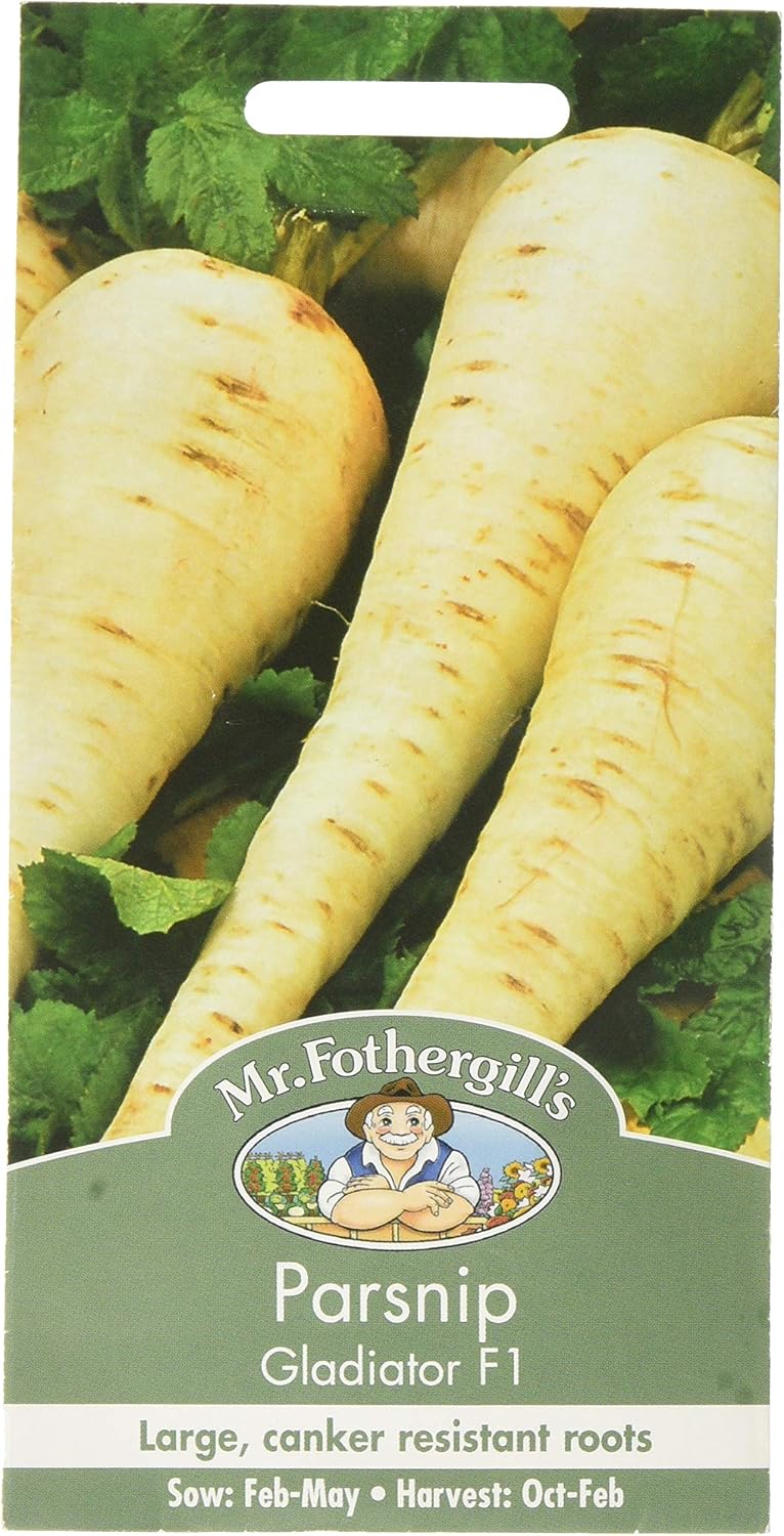Mr. Fothergill's Parsnip Gladiator F1, White