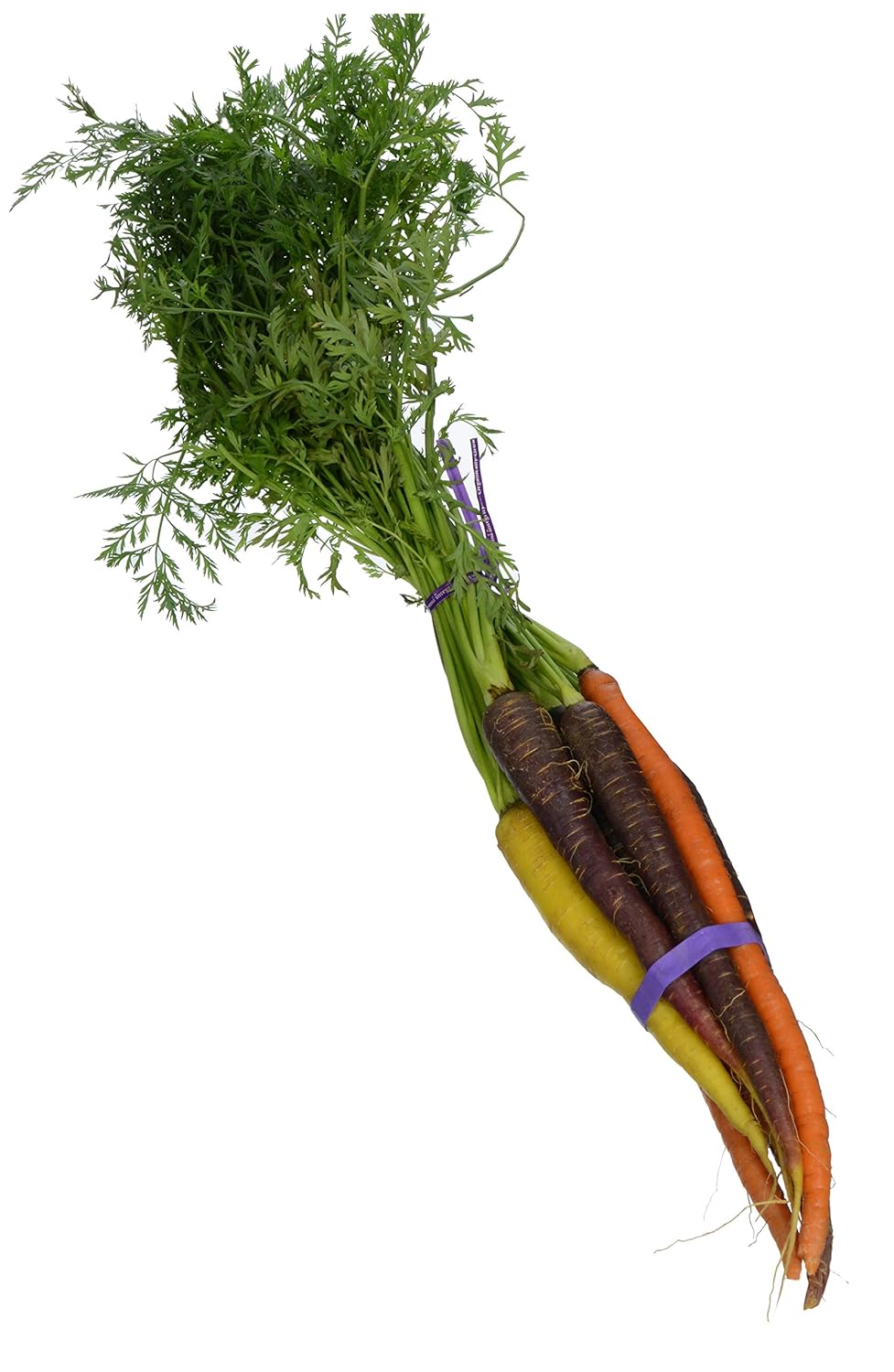 PRODUCE Organic Rainbow Carrot