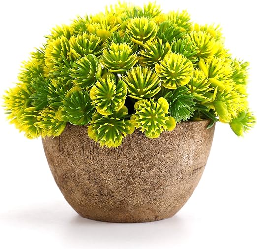 Download Amazon Com Woodword Artificial Plants For Room Decor Potted For Free Get Wallpaper Amazon Com Woodword Artificial Plants For Room Decor Potted For iPhone Free