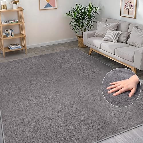 BEIMO Washable Rugs Living Room 60X110CM, Grey Area Rugs for Bedroom Non Sheeding, Large Anti Slip Low Pile Carpet Modern Fluffy Shaggy Rug for Dining Room, Kids Bedroom