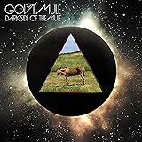 Dark Side of the Mule