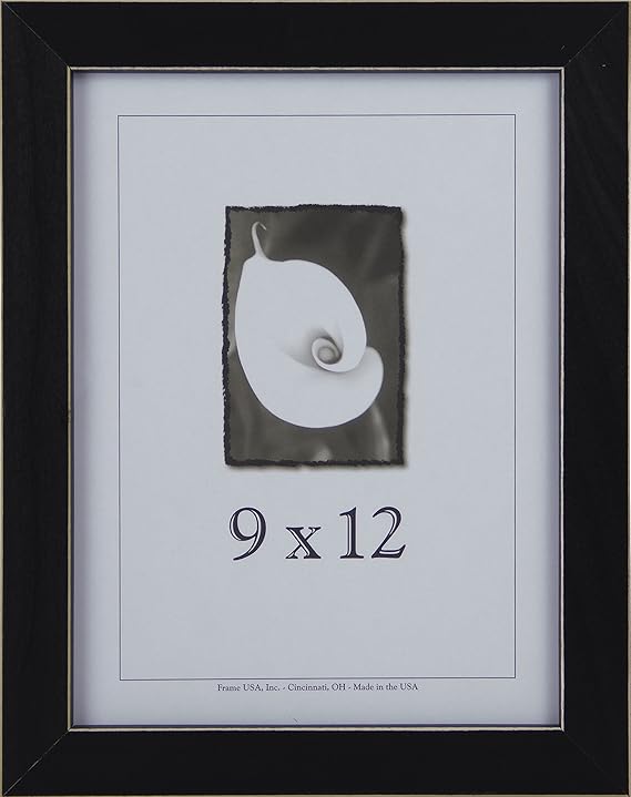 Clean Cut Frames, 9 x 12, Black Single Frames