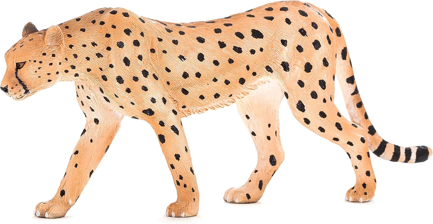 MOJO - Cheetah Male, Mixed, único