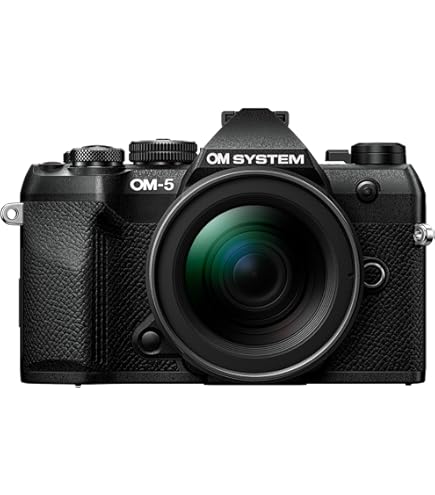 Olympus OM-D E-M10 Mark IV Corpo preto com kit de lentes M.Zuiko