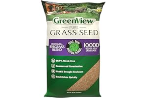 GreenView Pure Grass Seed Perennial Ryegrass Blend, 20 lb. Bag – Covers up to 10,000 sq. ft.