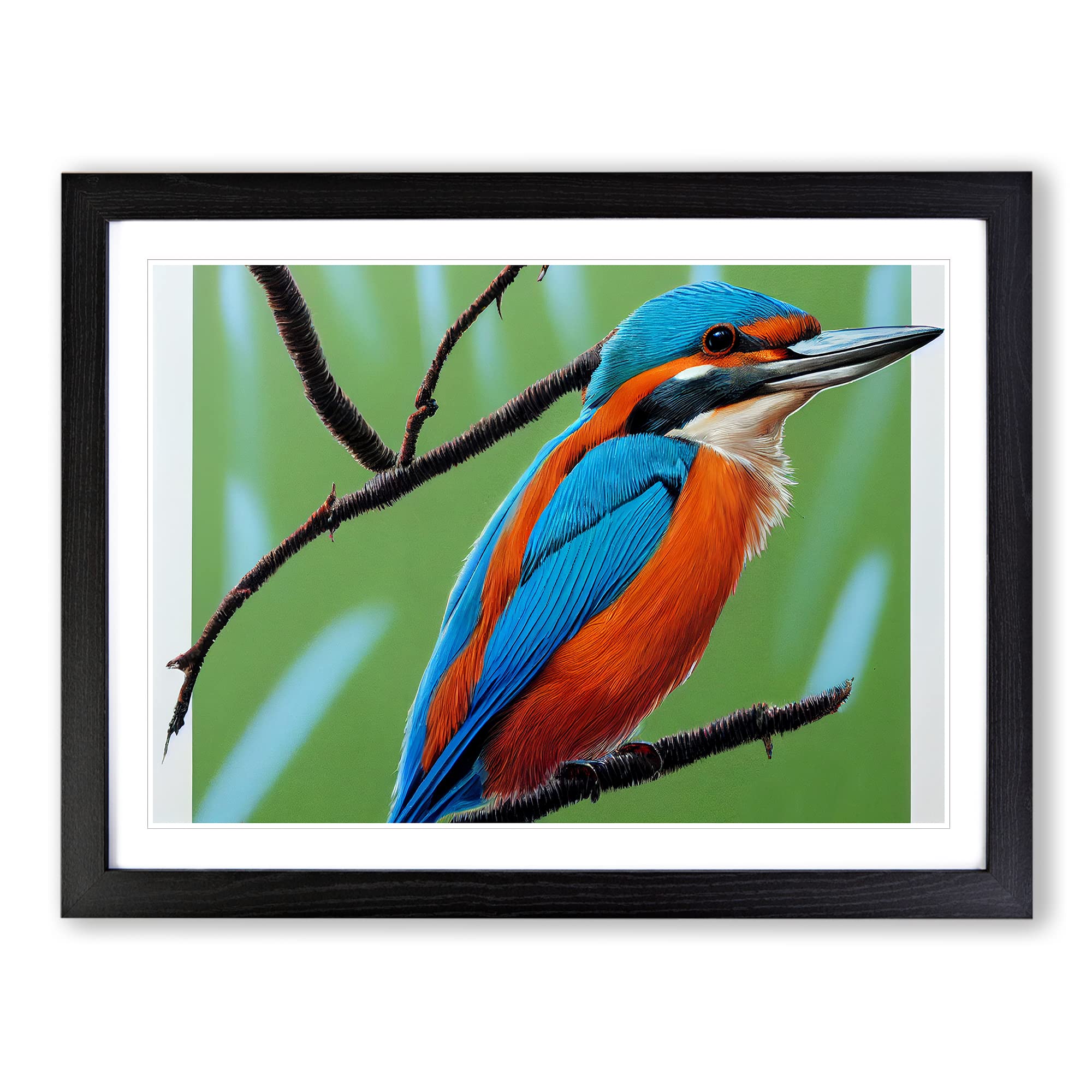 Radiant Kingfisher Bird Framed Print | A4 Black Framed Wall Art | Ready to Hang | Modern Nature Picture | Living Room Bedroom Lounge Office