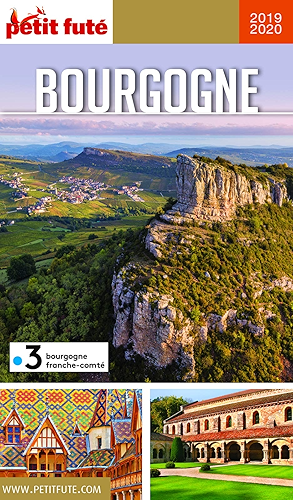 Download BOURGOGNE 2019 Petit Futé (GUIDES REGION) PDF