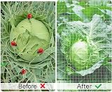 OAHAO Insect Netting Mesh Garden Net 0.8mm Fine UV 2x5m Greenhouse view 4