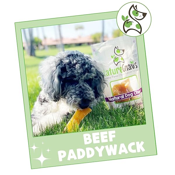 NATURE GNAWS BEEF PADDYWACK TENDONS FOR DOGS 5-6″ (5 COUNT) – LONG LASTING FOR AGGRESSIVE CHEWERS – NATURAL BEEF DOG CHEW BONES – RAWHIDE FREE
