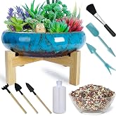 Succulent Pots, 10 Inch Large Succulent Planters with Stand - Ceramic Bonsai Pot with Drainage for Indoor Plants Cactus Flower Planter Pot Plus Succulent Planting Tools Set &amp; 2.2lb Mix Pebbles