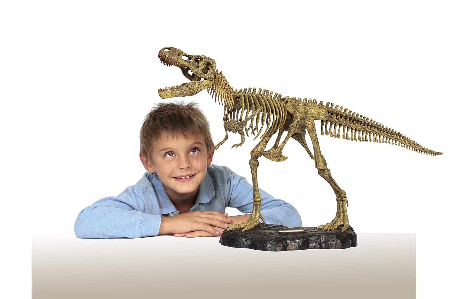 динозавры раскопки скелетов для детей. Geoworld georex. юный палеонтолог. палеонтолог для детей. юный палеонтолог.