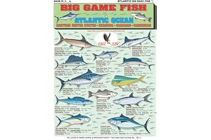 Atlantic Ocean Big Game Fish Identification #1 Eastern United States, Bermuda, Bahamas, Caribbean Waterproof Quick Reference Guide | Portable & Built to Last | Double-Sided & Easy to Read