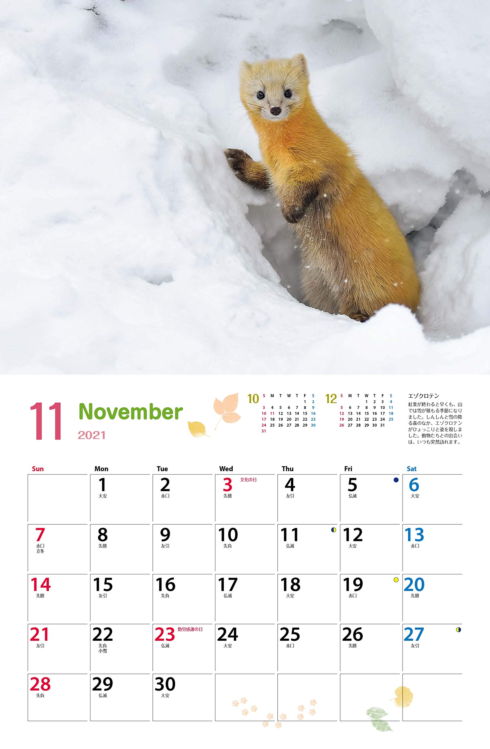 カレンダー21 太田達也セレクション 森の動物たち Tiny Story In The Forests 月めくり 壁掛け ヤマケイ カレンダー21 太田 達也 本 通販 Amazon