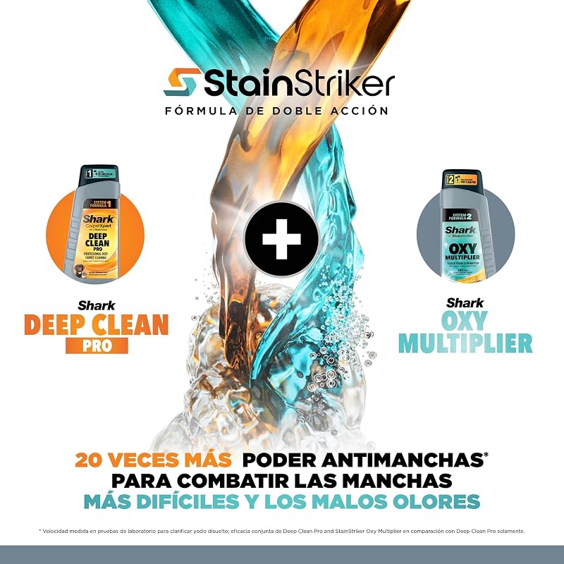 StainStriker, Limpiador Quitamanchas con 5 Accesorios, 450W