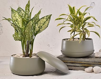 [Set of 2] Elemntl Metal Planter Pot for Indoor Plants & Flowers | 5.5 x 3 in | Table Top Planter for Living Room, Home Decor, Terrace, Balcony & Home Gardening (Matte Grey with Drain Plate)