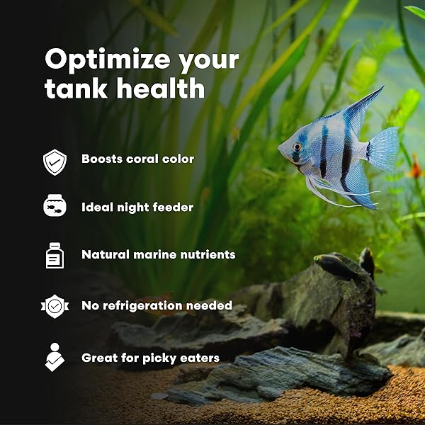 BRIGHTWELL AQUATICS MACRŌVORE MARINE CRUSTACEAN ROE FOR CORALS ANEMONES FISH ENRICHED WITH AMINO ACIDS OMEGA-3 FOR COLOR HEALTH FEEDING IN AQUARIUMS, 125 ML