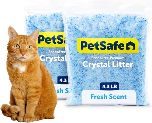 PetSafe ScoopFree arena de cristal premium para gatos, paquete de — Arena para gatos