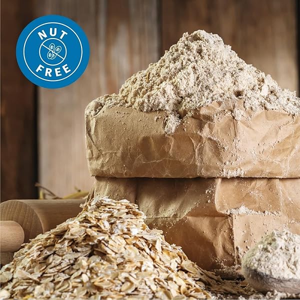 JUDEE’S OAT MILK POWDER 1 LB – VEGAN, NON-GMO, SOY-FREE, GLUTEN-FREE, AND NUT-FREE – DAIRY ALTERNATIVE – USE FOR BAKING – BLENDS WELL IN SHAKES AND SMOOTHIES – ADD TO YOUR FAVORITE COFFEE AND DRINKS