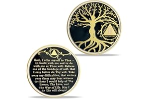 2 Year Sobriety Chip Tree of Life AA Medallion Recovery Gift Alcoholics Anonymous Coin Anniversary Token