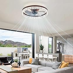 LEDIARY 20" Modern Ceiling Fans with Lights and