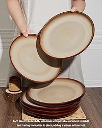 Pokini 10 Inch Dinner Plates Set of 6, Porcelain