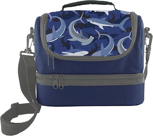 dual compartment insulated lunch bag