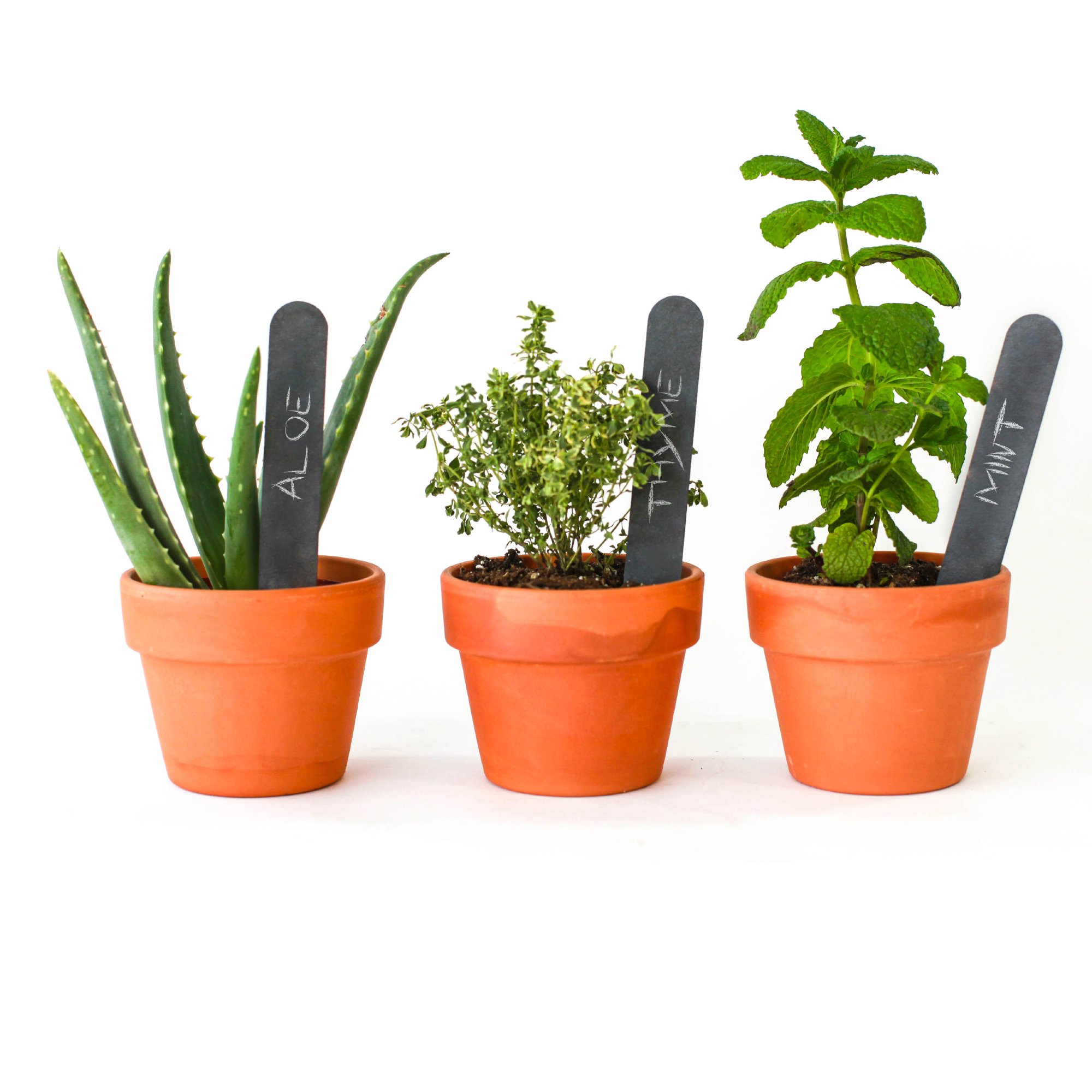 Sparq Slate Garden Markers (Set of 3), Grey