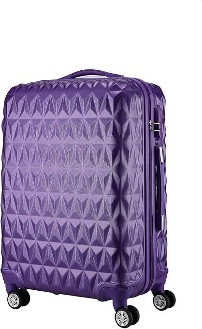 the carry on suitcase