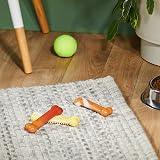 Nylabone Tough Dog Chew Toy Bones BBQ Chicken Corn on the Cob Ice Cream Variety view 2