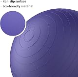 PROIRON Extra Thick Exercise Ball 55cm 65cm 75cm Anti-Burst Gym Ball view 2