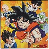 Dragon Ball Z Wood Wall Decor | Iconic Anime Wall Art for Bedroom or Game Room