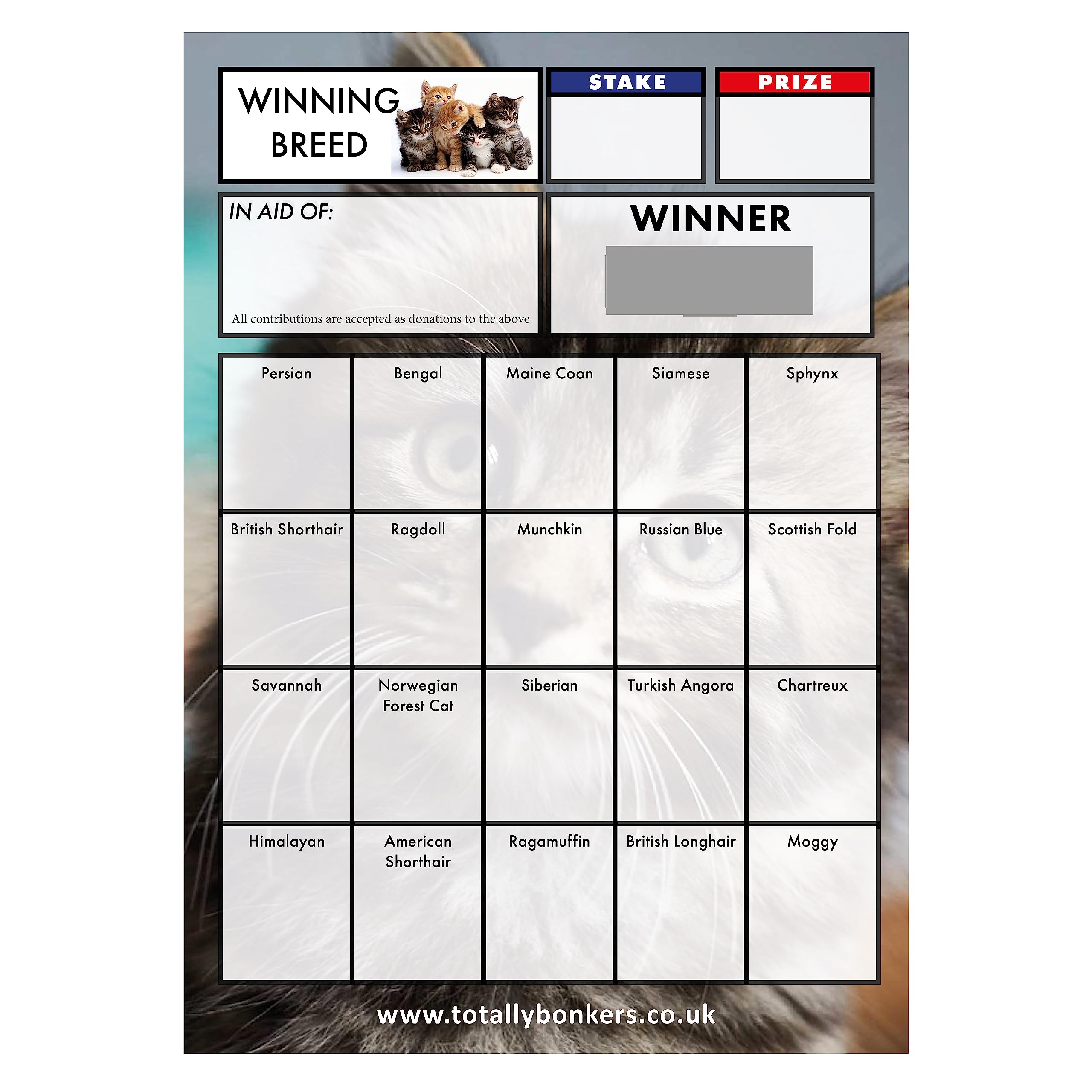 Totally Bonkers Cat Scratch Cards - 20 Square - A6 (148x105mm) - 10 Pack - TB0027 - Blind Card - Kid