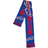FOCO NFL (2016 Edition) Big Logo Scarf