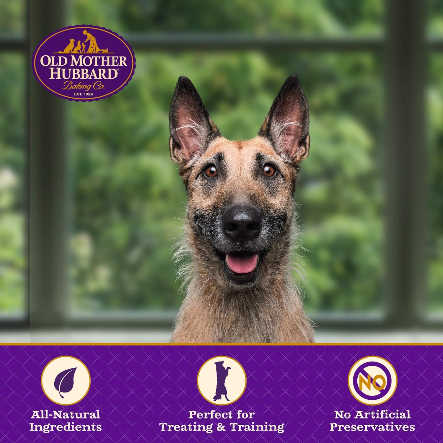 Old Mother Hubbard Classic Original Assortment Biscuits Baked Dog Treats, Mini, 3 lb 13 Ounce Bag : Pet Snack Treats : Pet Supplies