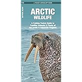 Arctic Wildlife: A Folding Pocket Guide to Familiar Animals & Plants of the Arctic & Subarctic Regions (Nature Observation In
