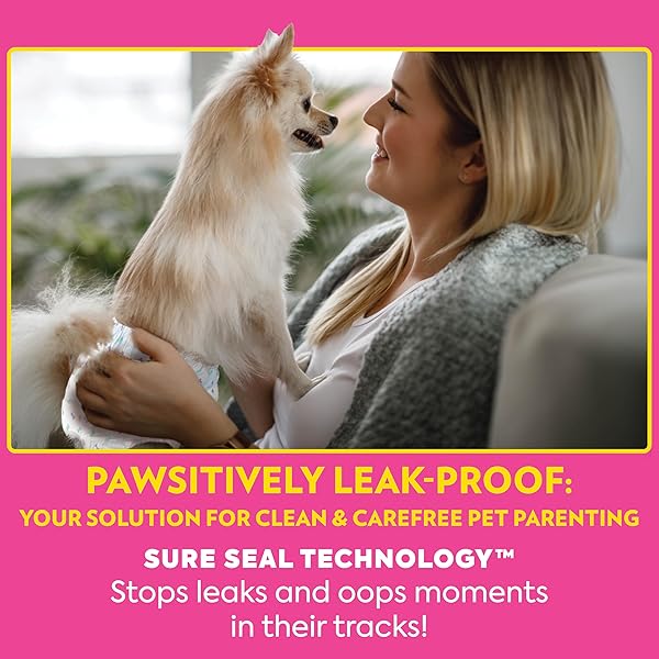 OUT! PETCARE DISPOSABLE DOG DIAPERS FOR FEMALE DOGS, DOG HEAT DIAPERS, FEMALE DOG PERIOD PADS, FEMALE DOGGY DIAPER FOR PEEING, PET DIAPERS FOR SMALL PETS,13”-18” WAIST, XS/SMALL, 16 COUNT
