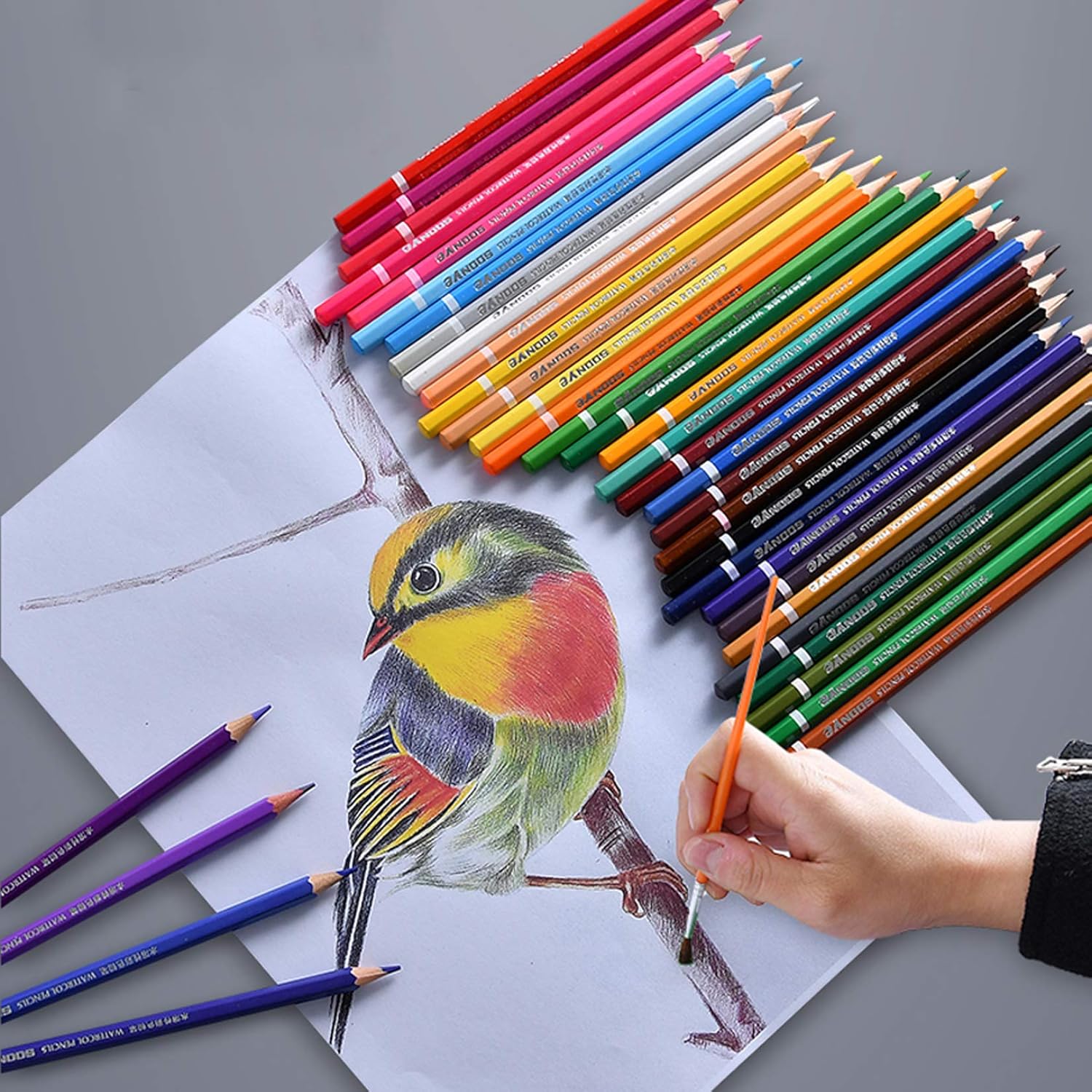 Download 24 Pcs Colouring Pencils Set For Adults Art Colouring Book Toyess Coloured Pencils Crayons For Children With Tin Box Stationery Office Supplies Pencils Silverstone Com Pl