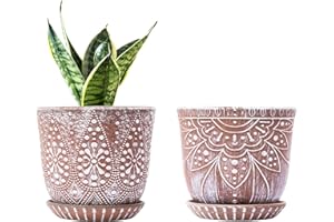 Gepege 6 Inch Beaded Ceramic Planter Set of 2 with Drainage Hole and Saucer for Plants, Indoor-Outdoor Large Round Succulent Orchid Flower Pot