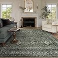 Lahome Boho Green Area Rugs 9x12 Living Room,Washable Large Rugs for Bedroom Aesthetic,Vintage Distressed Non Slip Low Pile Dining Room Rug Carpet for Home Office Playroom(9'x12',Green)