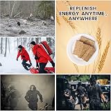 BDH Emergency Food Ration Bars Original Flavor 4x250g 1145 kcal each view 6