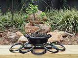 Grow A Bonsai Tree Anodized Aluminium Training Wire 5-Size Starter Set view 3