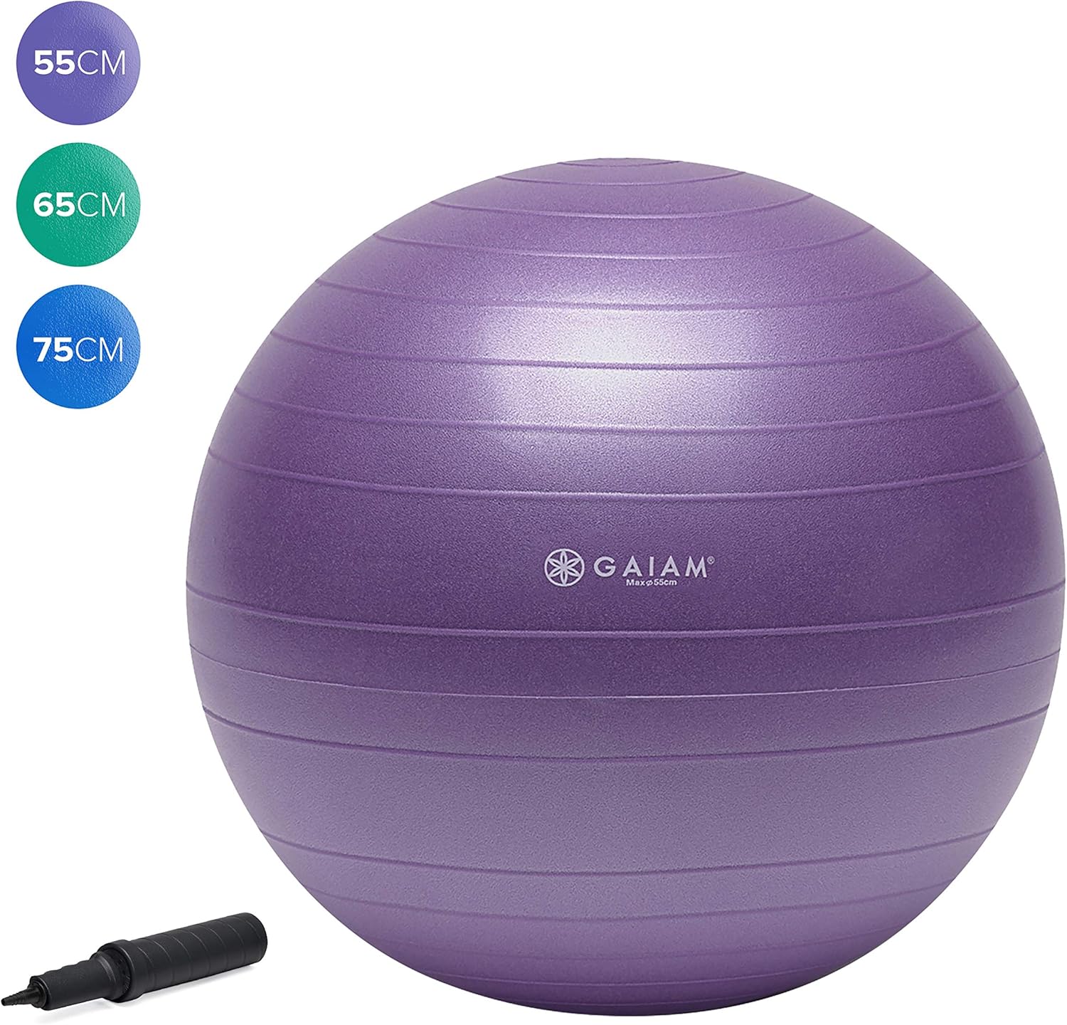 Gaiam Total Body Balance Ball Kit - Includes 55cm Anti-Burst Stability Exercise Yoga Ball, Air Pump, Workout Program: Gaiam: Sports & Outdoors