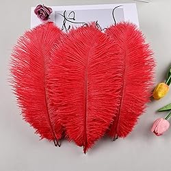THARAHT 24pcs Red Ostrich Feathers Natural Bulk